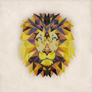 'Steady Gaze'