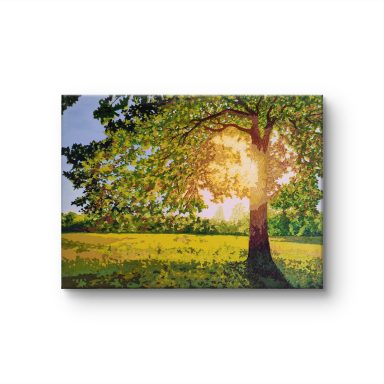 'Oak of Light'