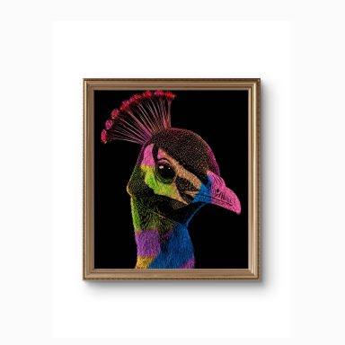 'Rainbow Majesty'